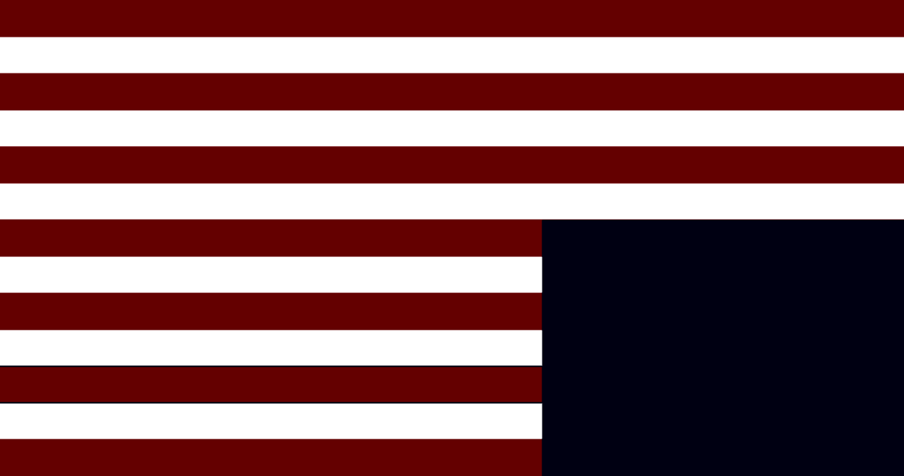 Dystopian USA Flag